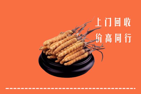 高价求购：宜春上高回收散虫草