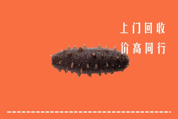高价求购：宜春上高回收海参